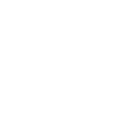 Clever Aesthetics Design Logo